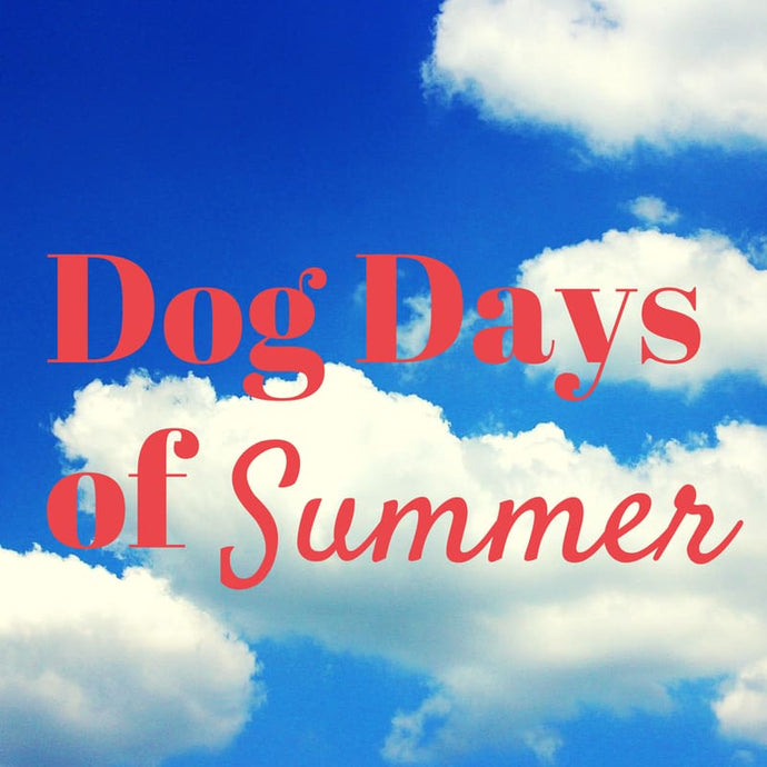 Just What Are “The Dog Days of Summer?