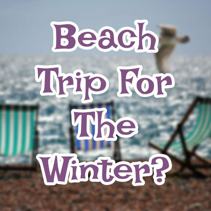 Beach Trip For The Winter?